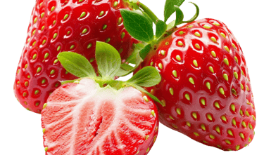 Fraises