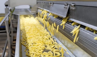 frozen french fries under processing in the factory
