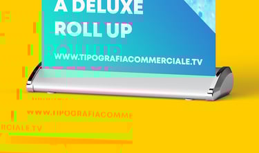 roll-up in vendita Treviso