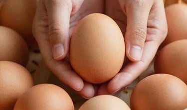 Close-up of hands holding clean, warm brown eggs over a wooden basket, soft rustic morning sunlight, earthy golden tones, shallow depth of field, 35mm