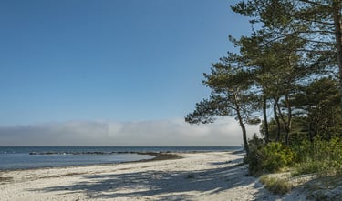 plaża
