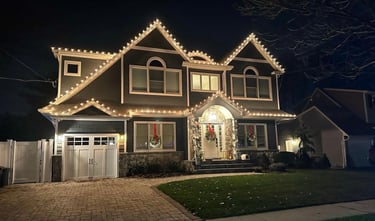 Professional Holiday Lighting