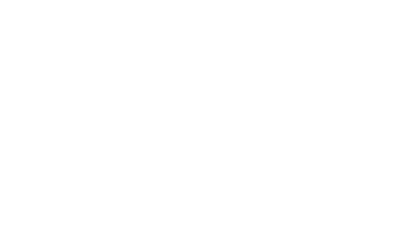logo with letters N and B