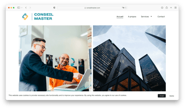 Page d'accueil site "ConseilMaster.com"