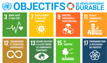 ODD-Developpement-durable