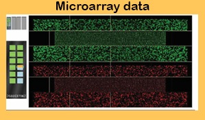 Genetic Testing for Sports Performance
