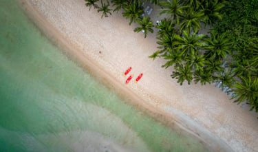 two people are walking on the beach near palm trees