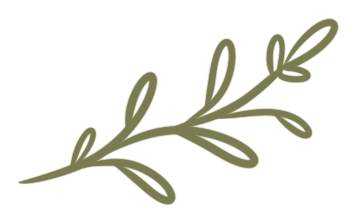 a branch of a plant with leaves