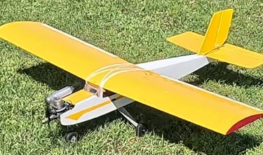 Dave B Yellow Tail (Maiden (kinda))