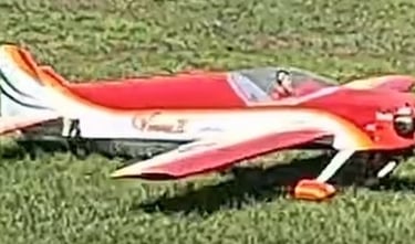 Dave S Venus II (Sunny)