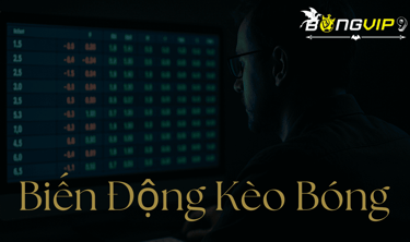 phan-tich-bien-dong-keo-bong-da-nha-cai-bongvip