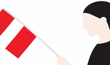 Certified Polish to English Translation Services | Lang Lumin