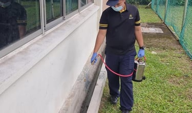 Larvicide Treatment