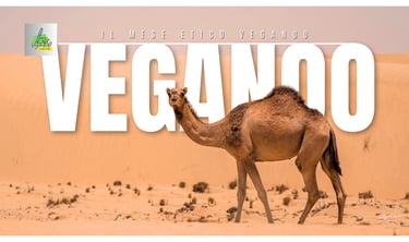 immagine desertica con un cammello in primo piano che ci osserva e una scritta VEGANOO