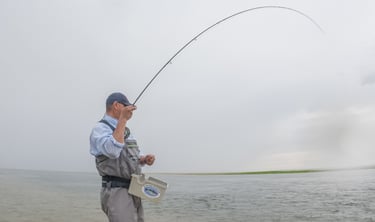 Hooked on a shad