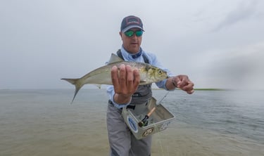 Shad Long Island