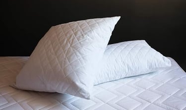 a pair of pillows and pillows on a bed
