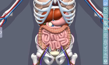 Ipad Medical App