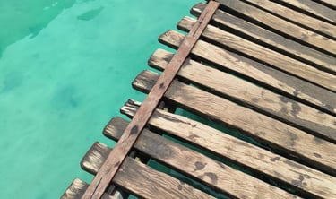 Solène Brixy, Energéticienne en vadrouille