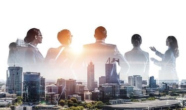 Apex Accounting professional bookkeeping team