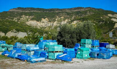 Industrial pallets wrapped in blue and green plastic film stored outdoors against a mountain backdrop.