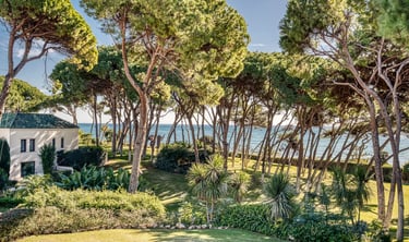 Private beachfront estate with manicured gardens and pine grove