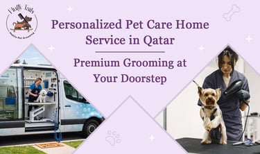 Personalized Pet Care in Qatar - Premium Grooming at Your Doorstep