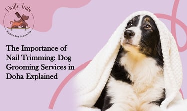 The Importance of Nail Trimming Dog Grooming Services in Doha Explained