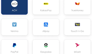 Woo commerce global payments