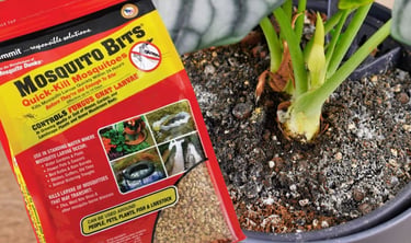 summit mosquito bits bag leaning against a green houseplant in a terra cotta pot outdoors