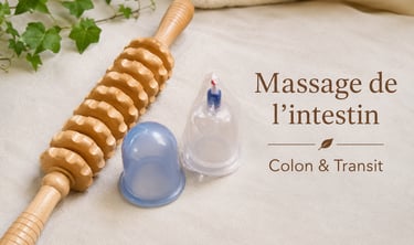 Ventouses silicone et rouleau bois massage abdominal colon et transit intestinal naturel