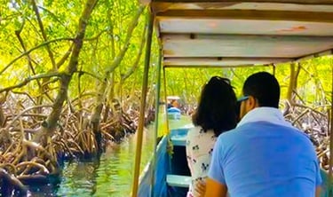 City tour plus mangrove channels
