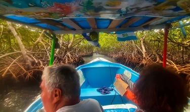 Tour de manglares Roatan