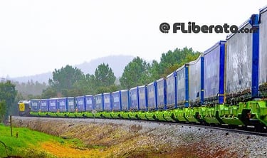 Autoestrada Ferroviária Linha do Leste