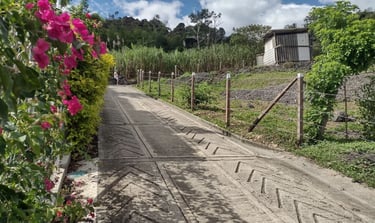 Via pavimentada frente a lote campestre que se ofrecio por inmobiliaria campo real