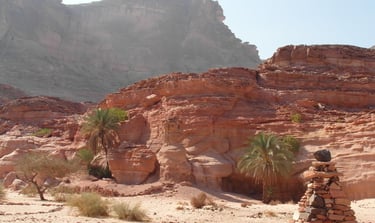 エジプトの砂漠旅行