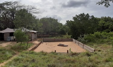 Miggo's Camp exclusive use campsite near Kosi Bay Mouth