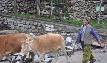 The people and places of Himachal Pradesh, India