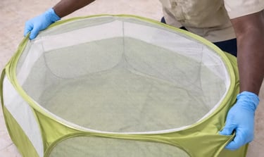 pose de la zone sécurisée pour animaux par un technicien 