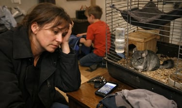 parent débordé et fatigué qui doit se forcer a nettoyer la cage du chinchilla de l'enfant