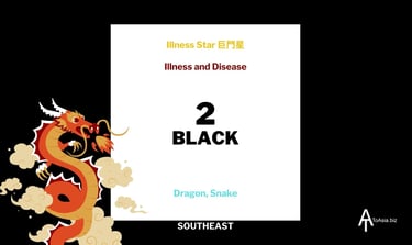 2024 - Southeast Black Illness Star - Flying Star Chart