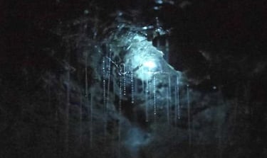 Glow worms in Tasmanian cave
