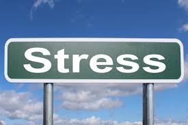 a green street sign with the word stress