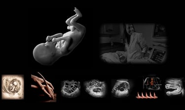 Image of a human fetus and various obstetric ultrasound images with and without Doppler.