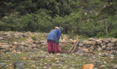 The people and places of Himachal Pradesh, India