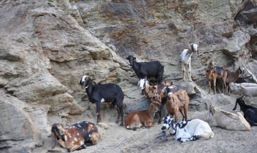 The people and places of Himachal Pradesh, India