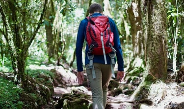 a man walking on a trail in the woods