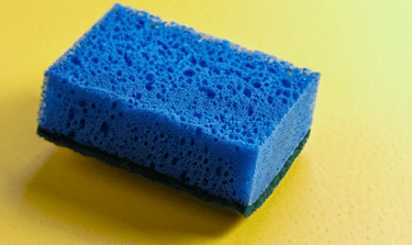 a sponge
