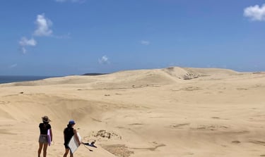 sandboarding in northland