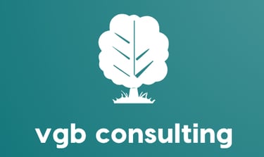 VGB Consulting Ltd - Website sponsors